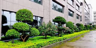 别墅园林景观设计前景分析