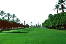 如何选择适合公共场所种植的绿化苗木？